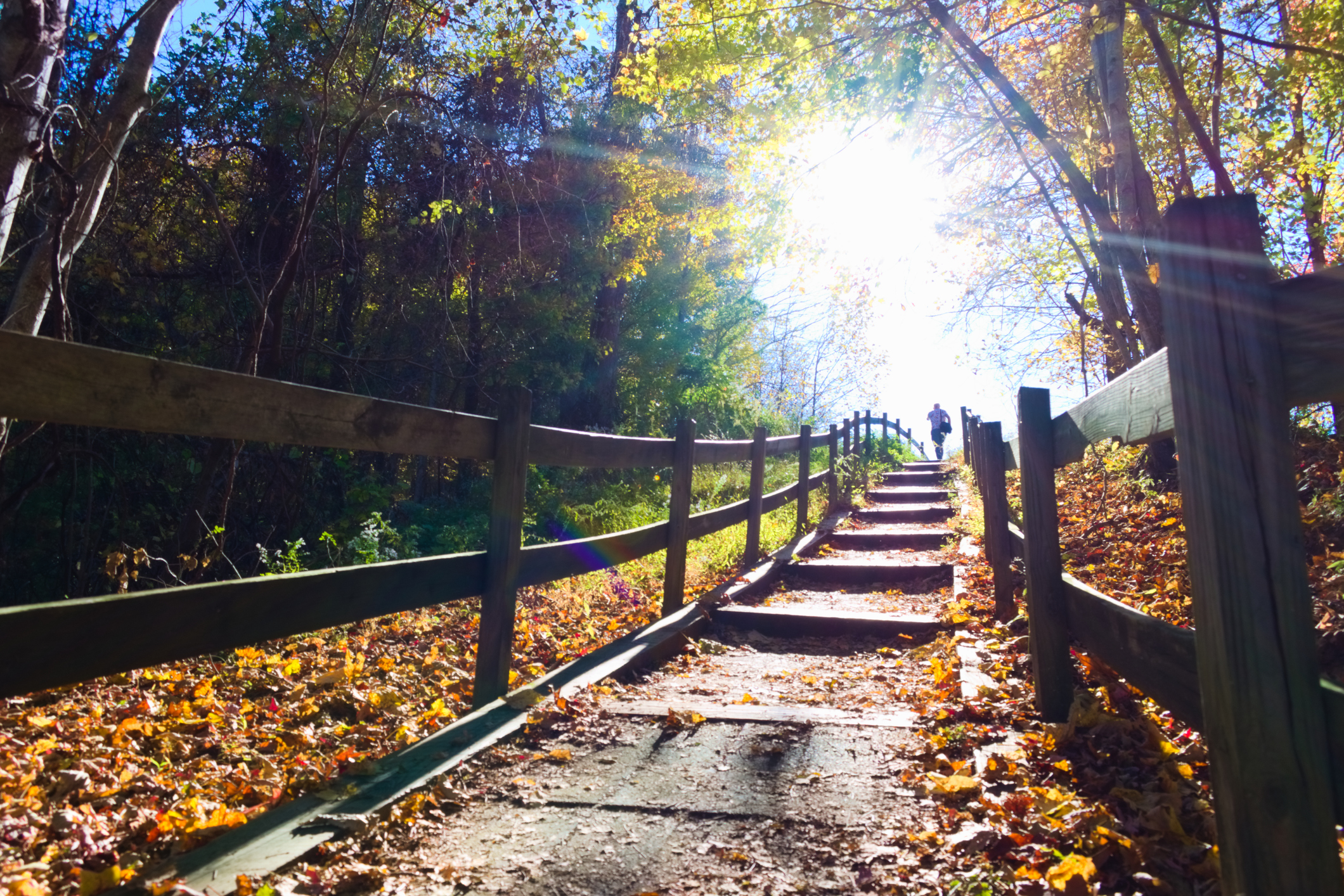 A man walking through a hiking trail in the Forest