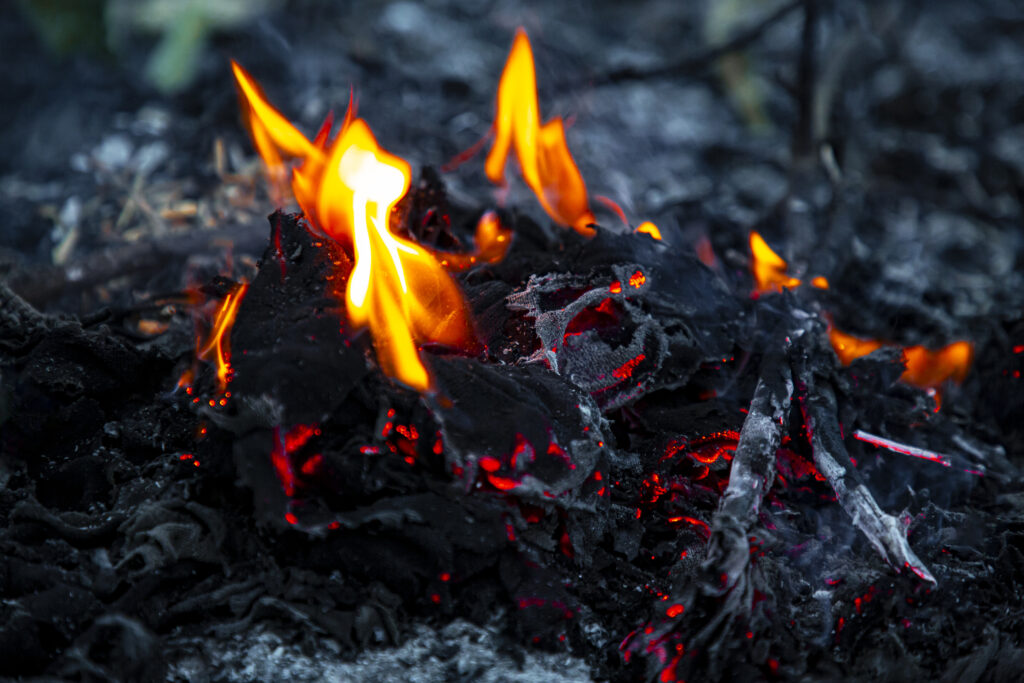 Aftermath of a Wildfire with Smoldering Ashes and Devastated Forest